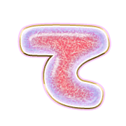 019