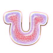 027