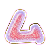 113