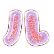 121