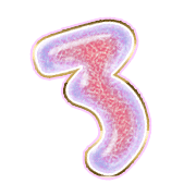 283