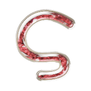019