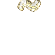 224
