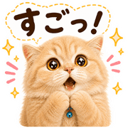 011