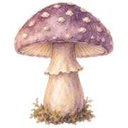 032
