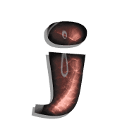 036