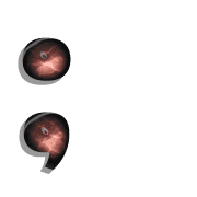 082