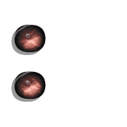 083