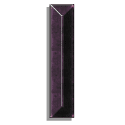 081