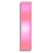 081