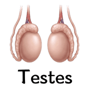 035