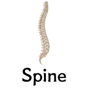 038