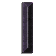 081