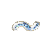 063