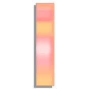 081