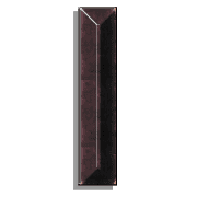 081