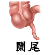 024