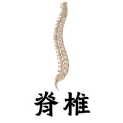038