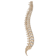 038