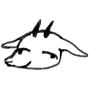 015