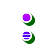 244