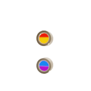 244
