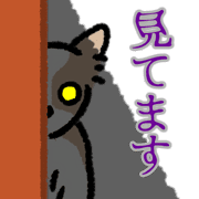 019