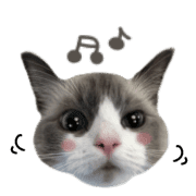 014