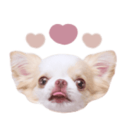 003