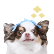 006