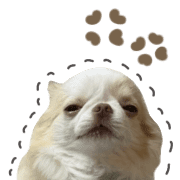 009
