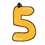005
