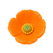 019