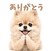004