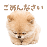 008