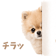 023