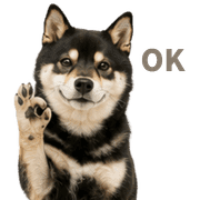003