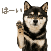 006