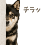 020