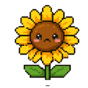 019