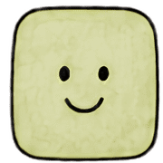 029