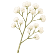 025