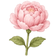 032