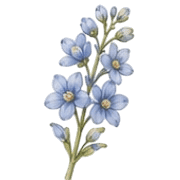 033