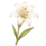 037