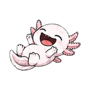 019