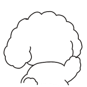 005