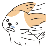 016