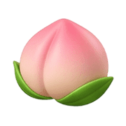 020