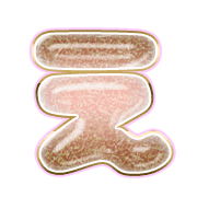 004